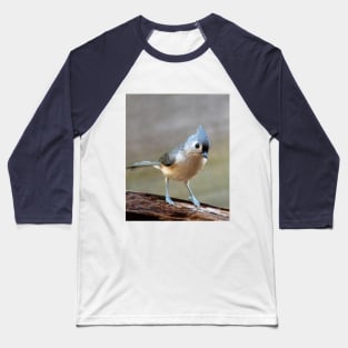 Sweet little bird on a log Baseball T-Shirt